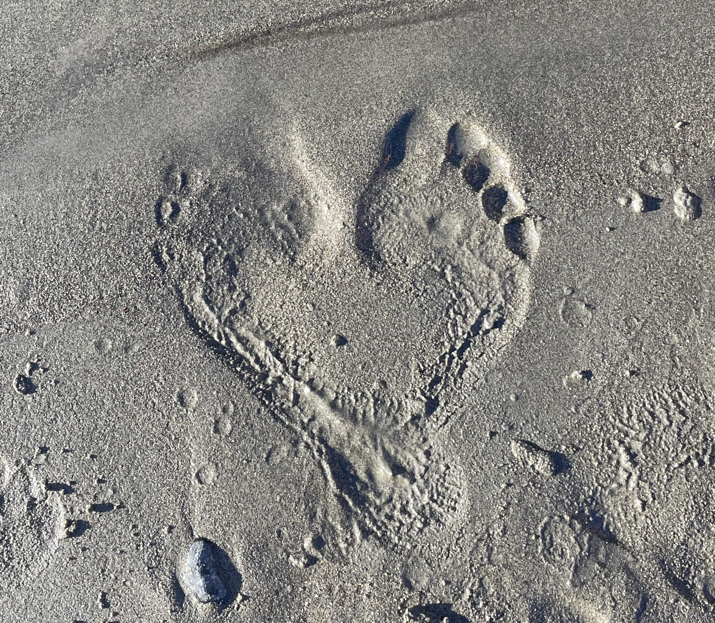 two footprints in the sand forming a heart